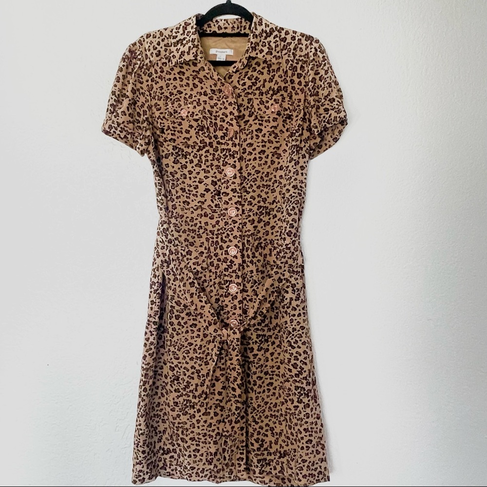 Silk Animal Print Dress
